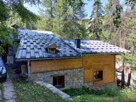 Chalet Anna catering included and whirlpool-23