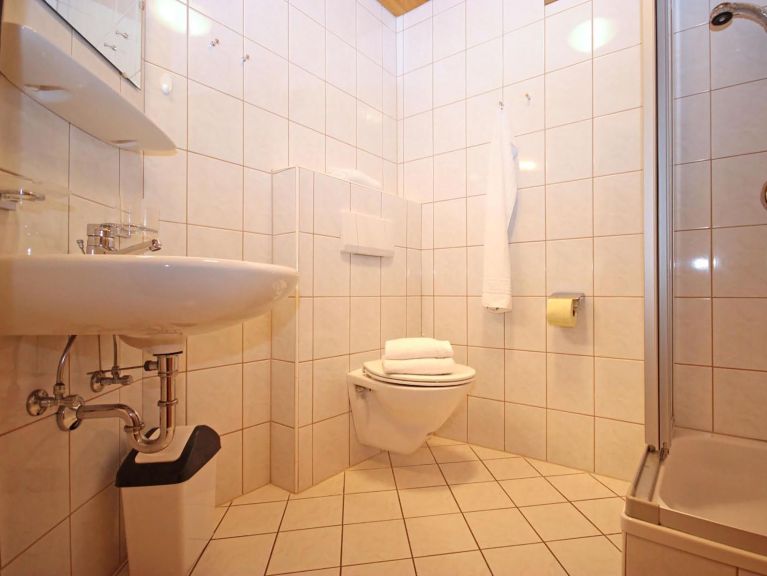 Chalet-apartment Voithofer Top 5