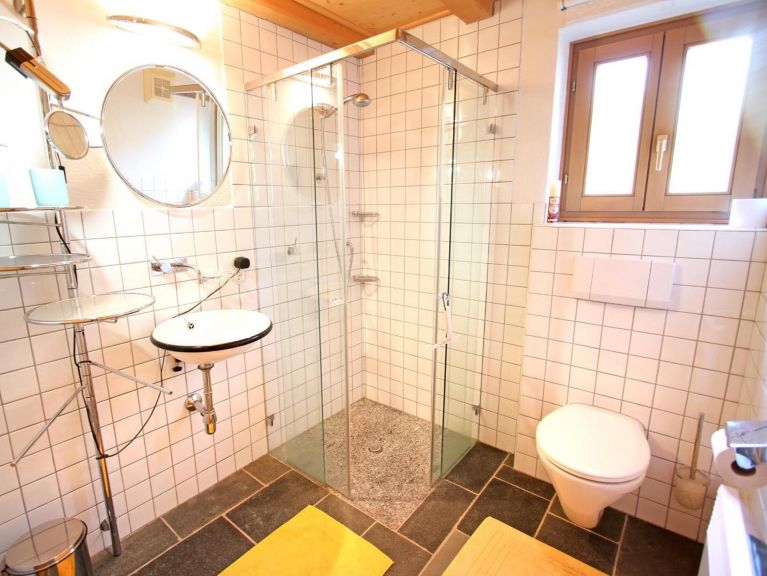 Chalet-apartment Hajenius