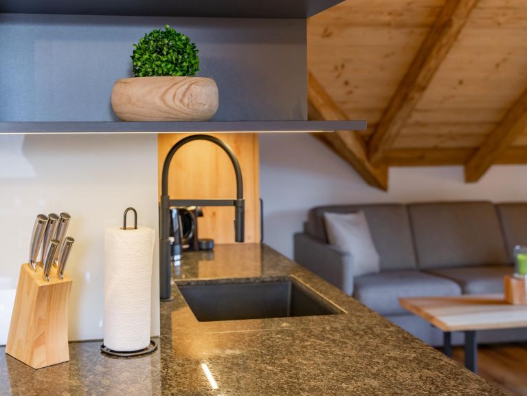 Apartment AlmApART 8-3 / Penthouse