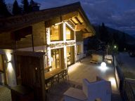 Chalet Edelweissalm max. 10 adults and 2 children-29