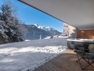 Chalet-apartment l'Alchimie-12