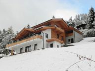 Chalet-apartment Alpenchalet am Wildkogel Kristall-6