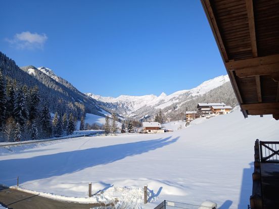 Chalet-apartment Fassl-5