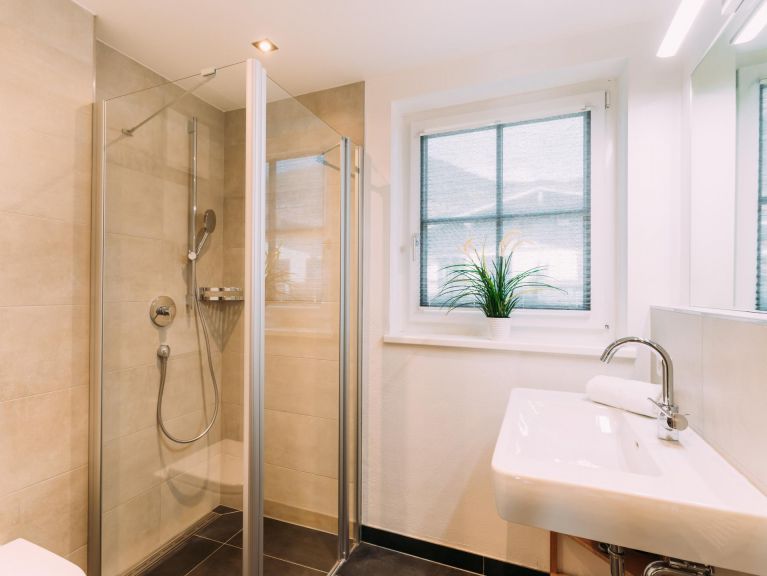 Chalet-apartment Tauern Lodge