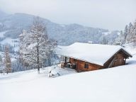 Chalet Hohe Alm-12