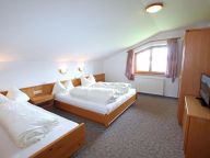 Chalet-apartment Voithofer Top 2-3