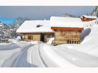 Chalet Petit Châtel with outdoor whirlpool-16