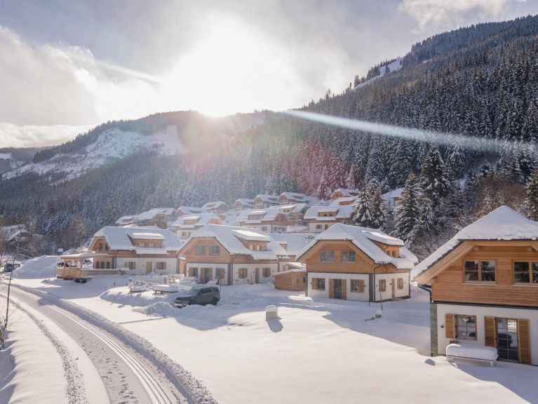 Chalet Riesneralm Bente