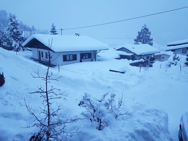 Chalet Haus Prins