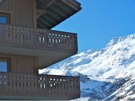 Chalet-apartment Le Hameau des Marmottes 3-rooms + cabin-13