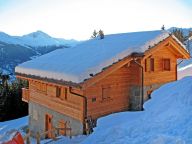 Chalet Bryher with private sauna-14