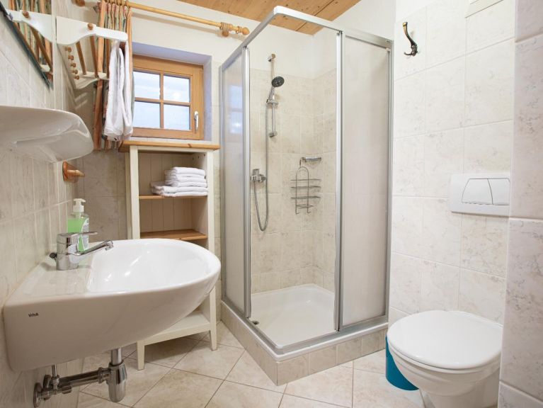 Chalet-apartment Bergfrieden 4-room