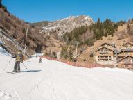 Chalet-apartment Les Alpages de Champagny apartment C22-26