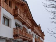 Chalet-apartment Emma with wood stove-27