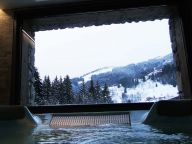 Chalet Adelphine with private whirlpool-16