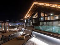 Chalet-apartment Das Neukirchen Type 1a-59