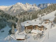 Chalet-apartment Landhof Type 1-18