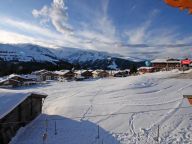 Chalet-apartment Voithofer Top 7-9