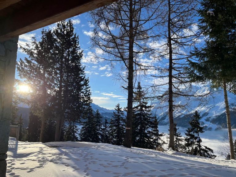 Chalet-apartment Le Diamant des Cimes