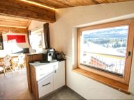 Chalet-apartment Enzianalm Bergstube with sauna-10