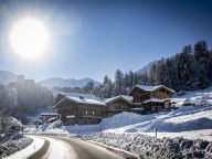 Chalet du Cocoon Mont-Blanc with outdoor hot tub-26