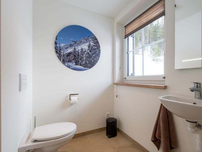 Chalet Riesneralm Edelweiss Lodge