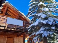 Chalet In de Wolken catering included with sauna and whirlpool bath-14