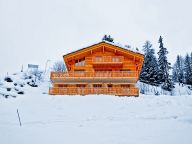 Chalet Jonathan with private sauna, Sunday to Sunday-19