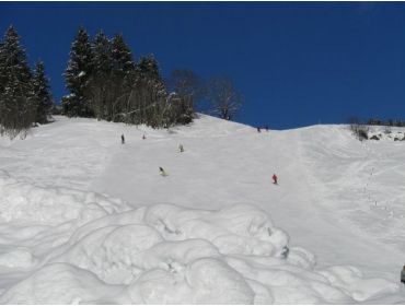 Ski village Small winter sport village, situated nearby Saalbach-3