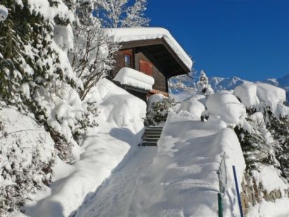 Chalet Château Lapin-1