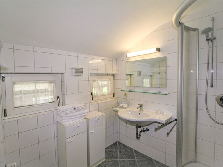 Chalet-apartment Rauter