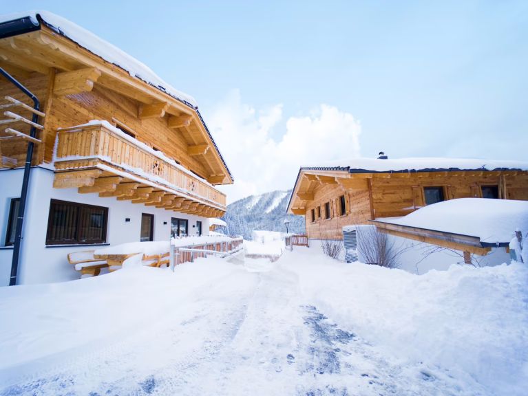 Chalet Almdorf Auszeit Fageralm Premium