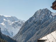 Chalet-apartment Les Alpages de Champagny apartment C22-23