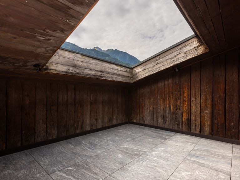 Chalet-apartment Alps Zillertal