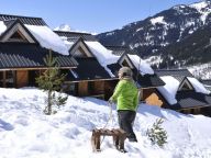 Chalet Le Village Gaulois-11