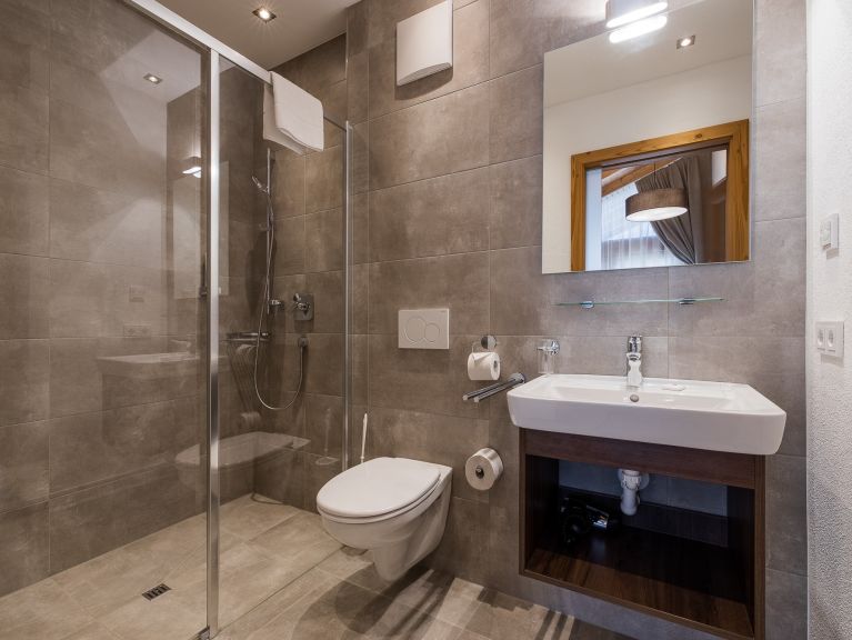 Chalet-apartment Wildkogelresorts Penthouse Type IIIb