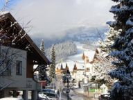 Chalet Kraxner catering included-19