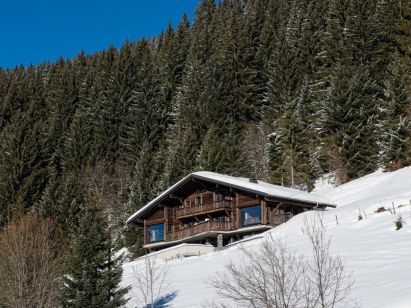 Chalet Chaletneuf du Tenne with private swimming pool, Sunday to Sunday-1