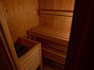 Chalet Oz with sauna and Turkish bath-3