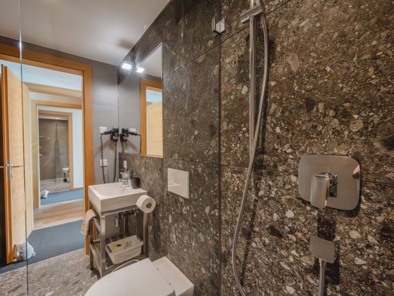 Chalet-apartment Fassl