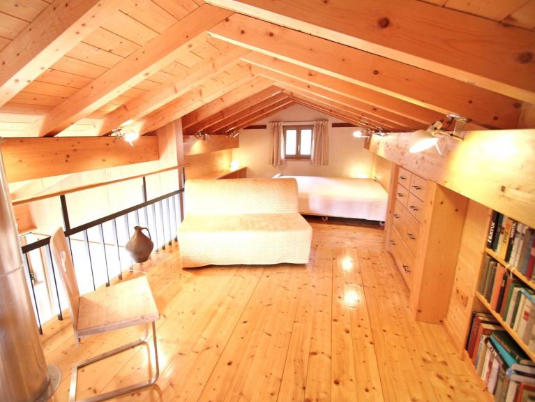 Chalet-apartment Hajenius