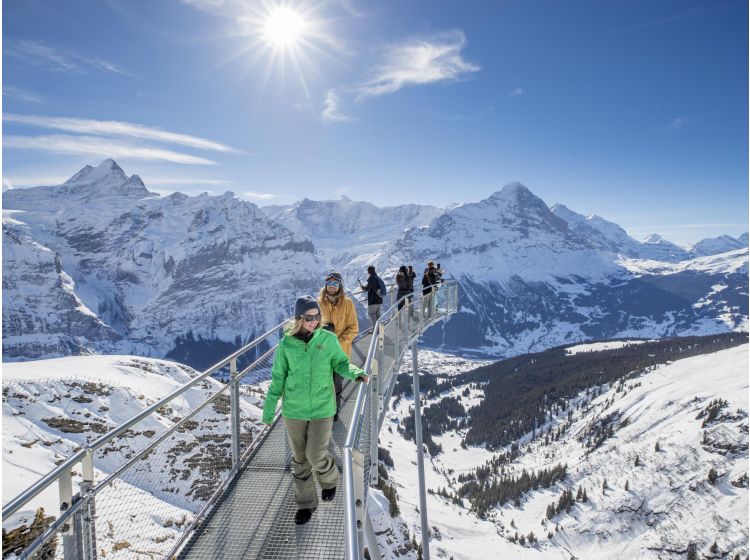 Ski region Jungfrau Region-1