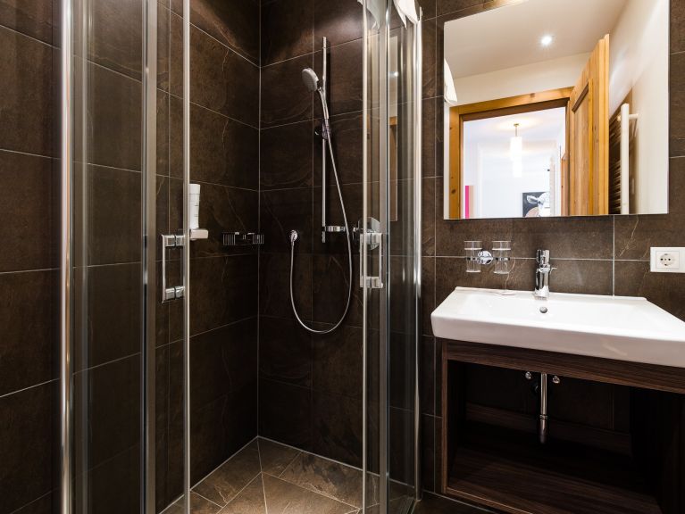 Chalet-apartment Wildkogelresorts Type IIa