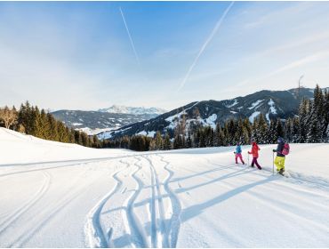Ski village Cosy winter sport destination with vivid après-ski bars-4