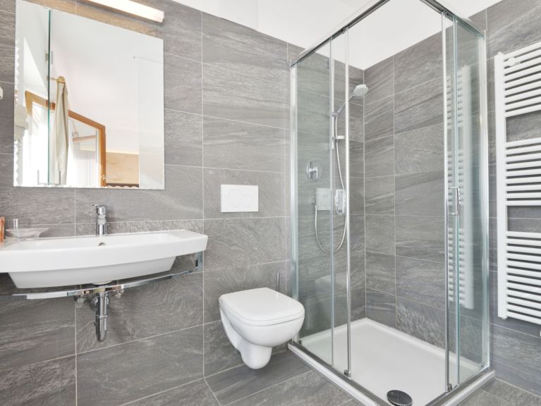 Chalet-apartment Kostner