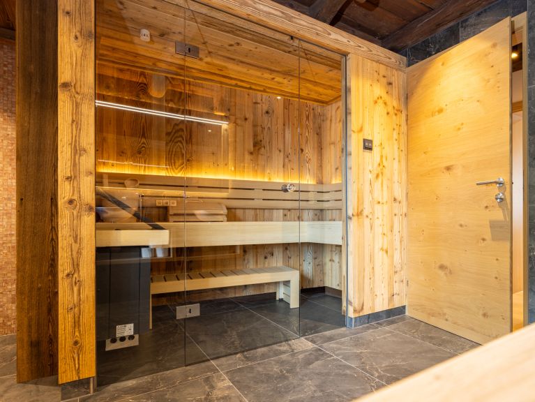 Chalet-apartment Alps Zillertal