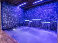 Chalet-apartment Altitude penthouse-20
