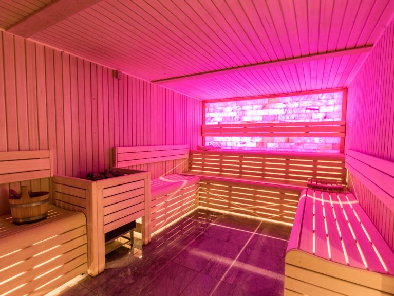 Chalet-apartment Altitude