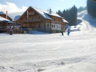 Chalet Almwelt Austria Jägerin-16